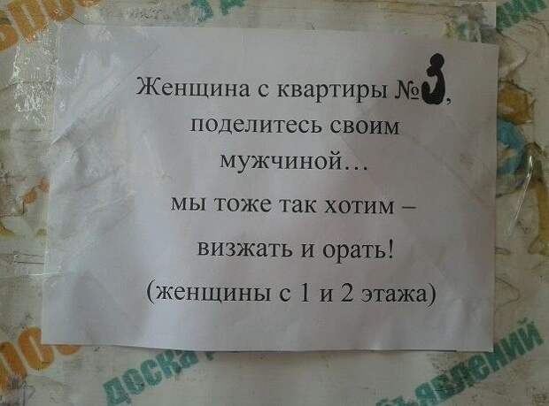 Ищу лысую или волосатую! Хиты брачных объявлений! Ищу лысую или волосатую! Хиты брачных объявлений!