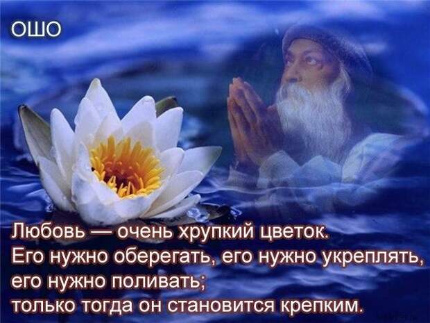 Потрясающие цитаты Ошо о жизни, любви и свободе