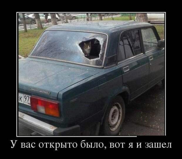 Демотиваторы (30 фото)