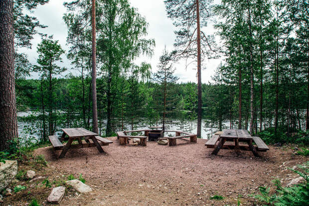Что придумали в Финляндии, чтобы избавиться от мусора на природе и лесных пожаров