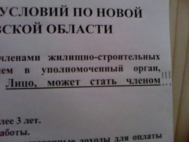 Прикольные картинки Прикольные картинки
