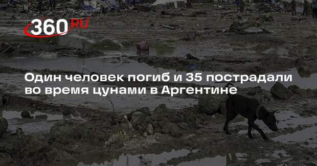 Один человек погиб и 35 пострадали во время цунами в Аргентине