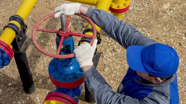 В Турции назвали Россию ведущим поставщиком энергоносителей