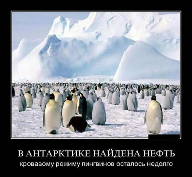Демотиваторы от 290311 (23 шт.)