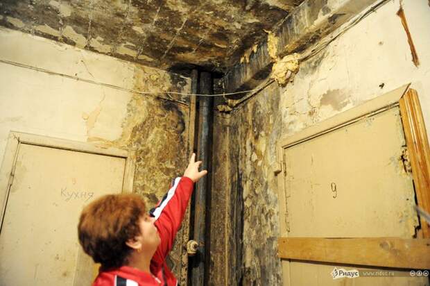 Жители военного городка (10 фото)