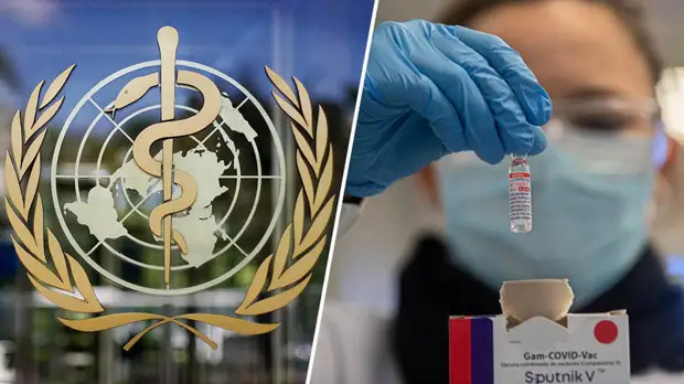 Не ранее января 2022 года: в ВОЗ назвали сроки проведения инспекции вакцины «Спутник V» в России