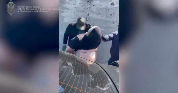 ФСБ: в Петербурге наказали пенсионера за продажу иностранцу авиационных деталей