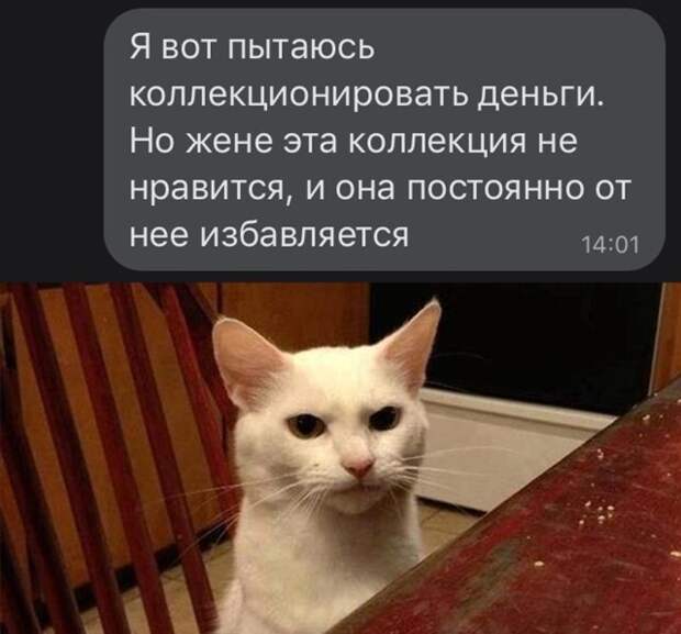 Я пытаюсь Я пытаюсь