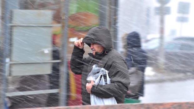 Синоптик: снег возможен в конце марта в Москве