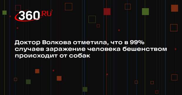 Доктор Волкова отметила, что в 99% случаев заражение человека бешенством происходит от собак