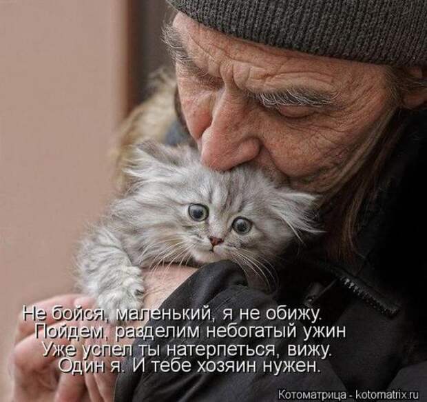 Котоматрицы(картинки с надписями)