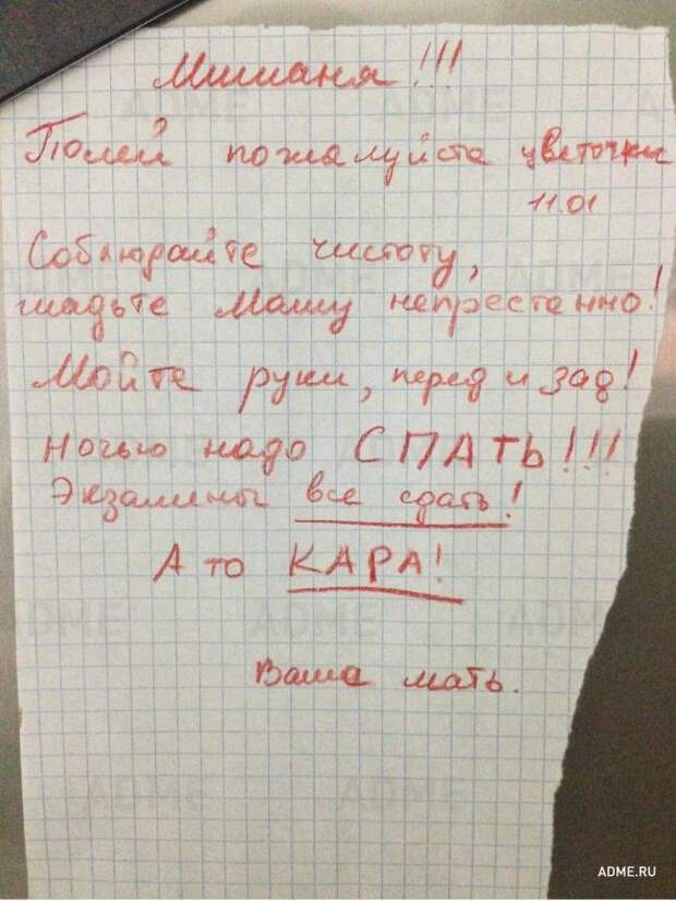22 записки, наполненные родительской любовью 22 записки, наполненные родительской любовью