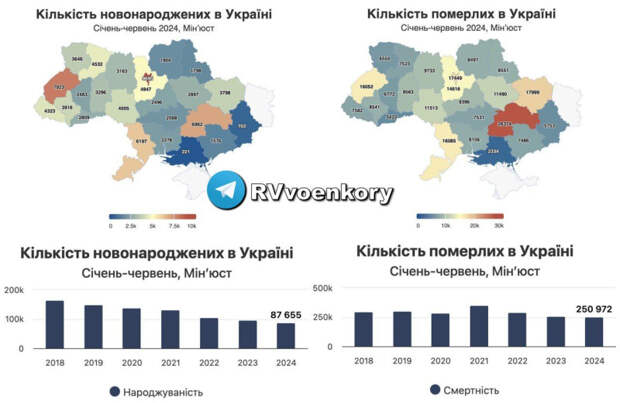 photo_2024-08-05_18-25-07 photo_2024-08-05_18-25-07