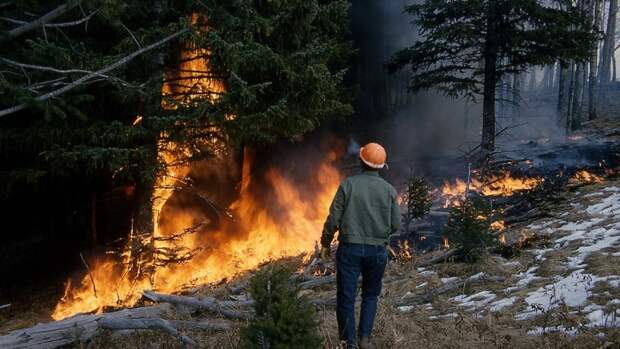 В Тюменской области опасная обстановка с лесными пожарами
