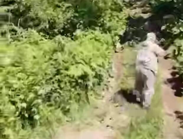 Медведь растерзал двух мужчин около трассы под Южно-Сахалинском