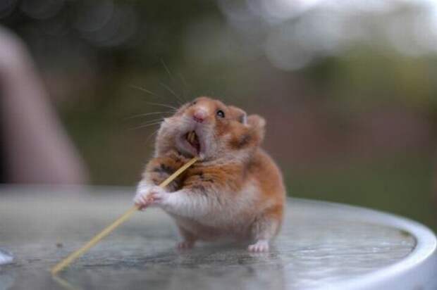 Давайте улыбаться вместе! :) (31повод)