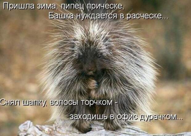 Мысли вслух :)