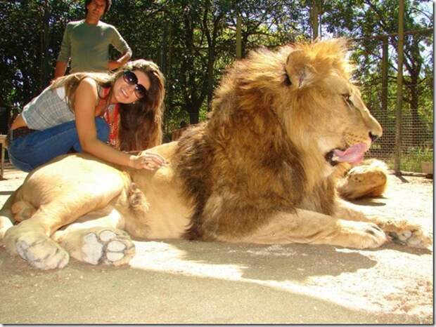 extreme-zoo_21_(funnypagenet.com)