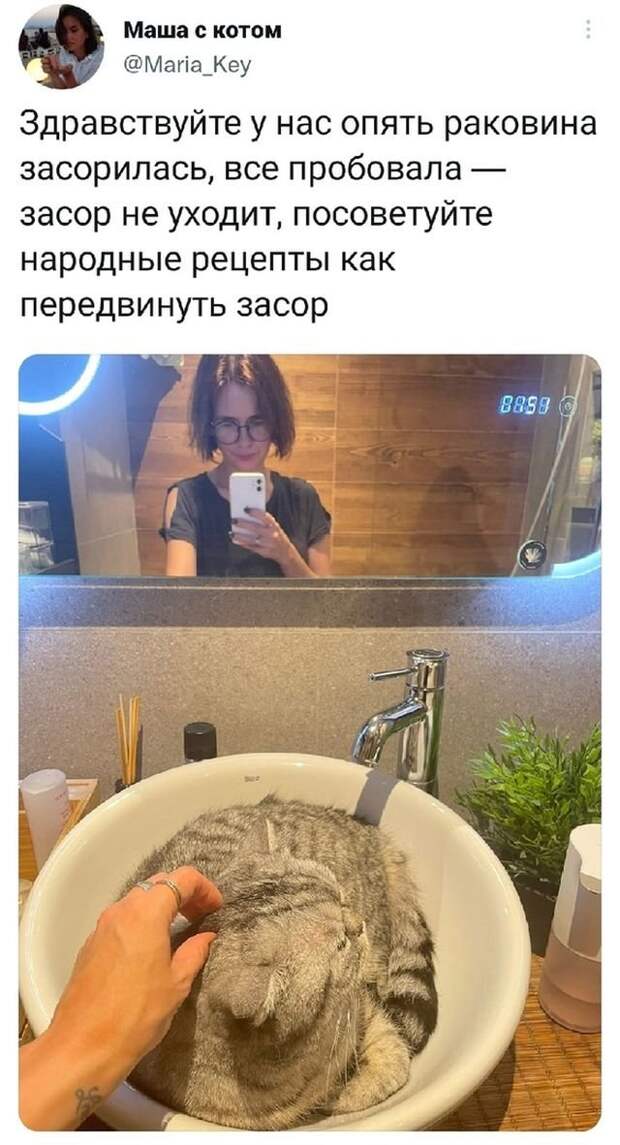 Подборка забавных твитов обо всем