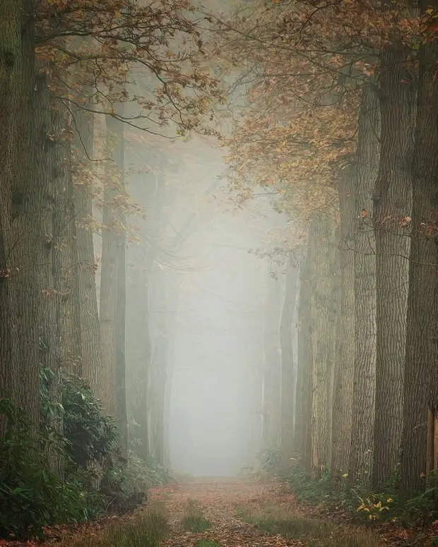 ��������� ����