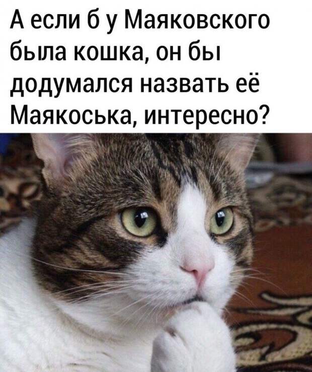 1584478466_kartinki-12.jpg