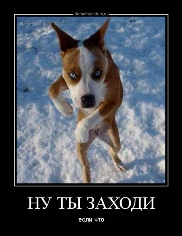 Демотиваторы-новинки (14 шт)