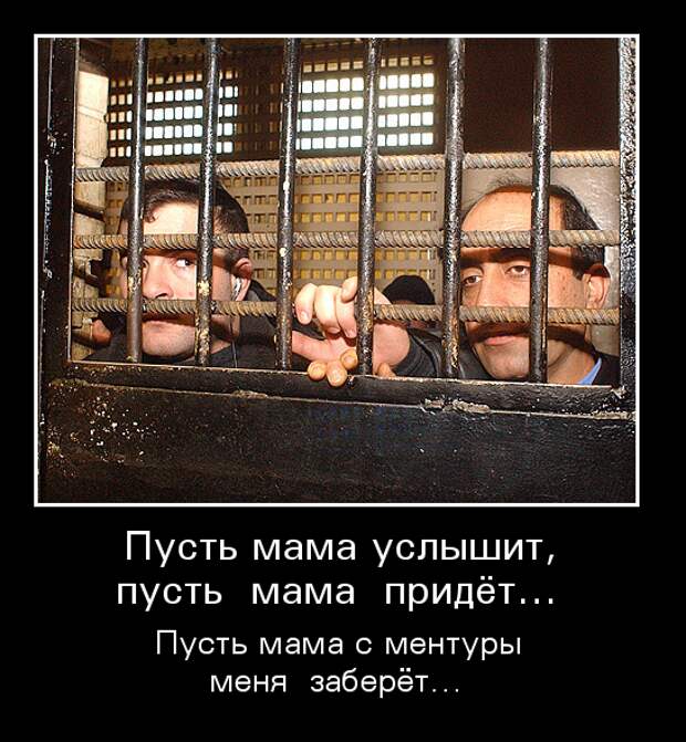 Подборка классных демотиваторов № 115
