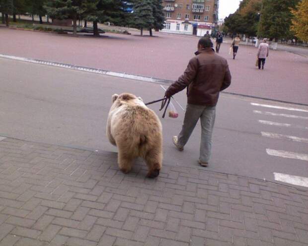 Только в России