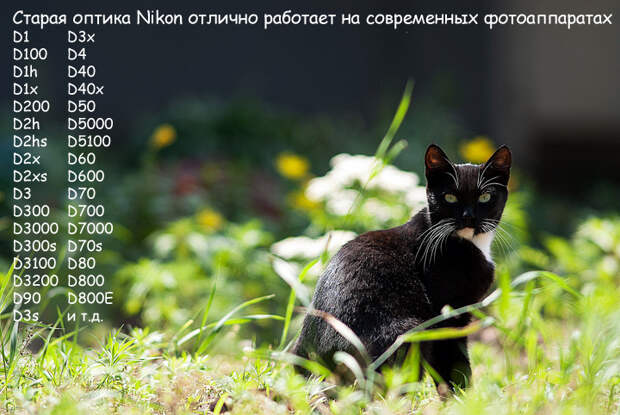 Старые объективы Nikon Старые объективы Nikon