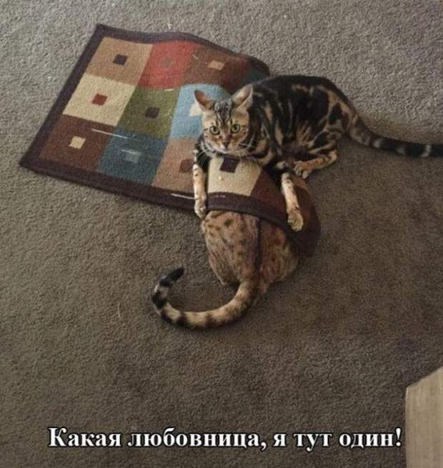 15 очень смешных снимков, которые точно поднимут вам настроение