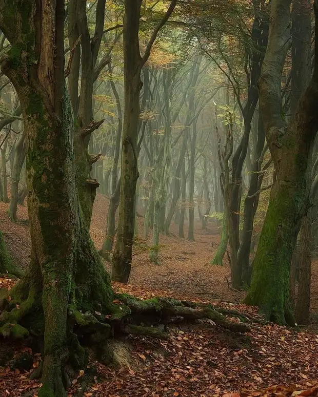 ��������� ����