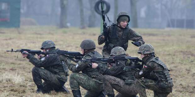 Тренировка сил территориальной обороны на военном полигоне в Минске-Мазовецком, Польша Тренировка сил территориальной обороны на военном полигоне в Минске-Мазовецком, Польша - ИноСМИ, 1920, 29.11.2024
