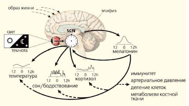 Аннунаки: тираны или спасители человечества?