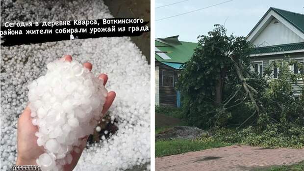 Расписание воткинск кварса