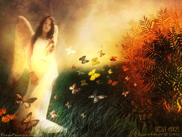 http://img0.liveinternet.ru/images/attach/b/3/18/515/18515949_wallpapers_ru_020723_luana_lost_angel.jpg