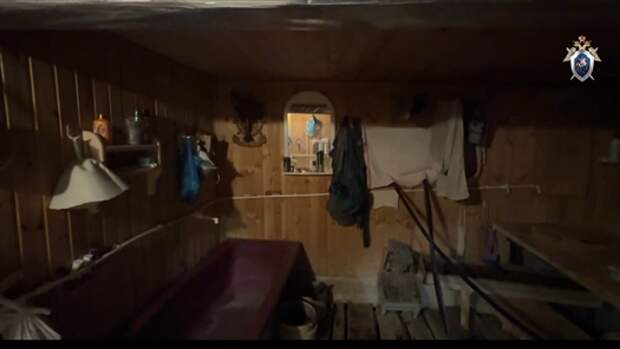 Останки пенсионера из Самарской области нашли в выгребной яме