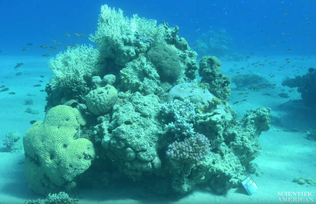 Море без воды
