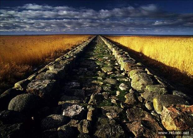 Andris_Eglitis_023 Andris_Eglitis_023