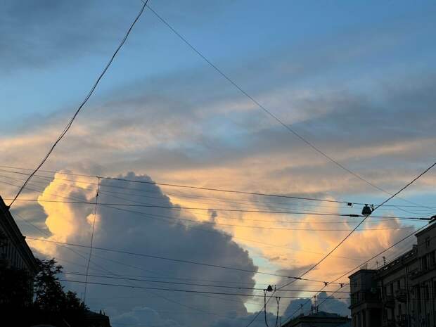 В Петербурге пройдут дожди и потеплеет до +12 градусов