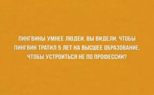 О жизни с юмором (22 шт)