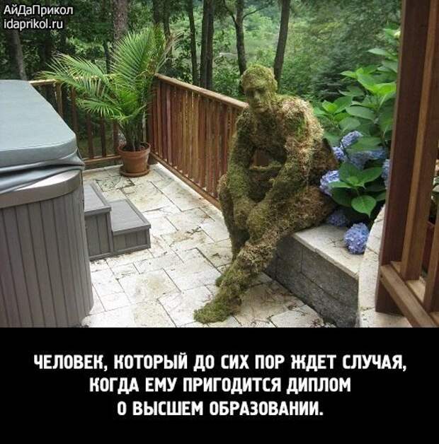 Забавные фотомемы (15 шт)