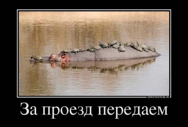 Свежие демотиваторы (19 шт)