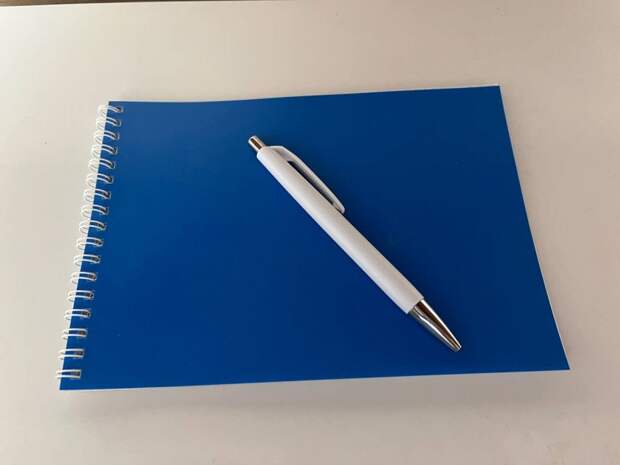 На собачьей площадке по Дегунинской навели порядок