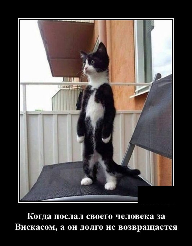 Демотиваторы (20 фото)