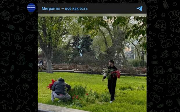 "У тебя дома будем хозяева": бородачи вступились за обворовавших клумбу "братьев"