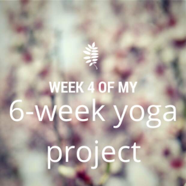 Week 4 (1)