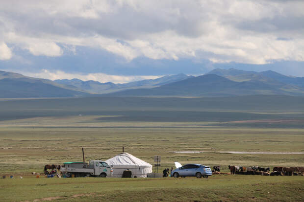 Монголия: среда обитания