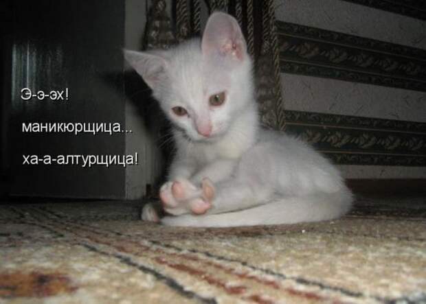 Мысли вслух :)