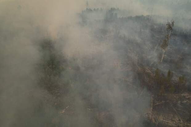 Пожар будет локализован: Собянин рассказал, как столичные спасатели борются с огнём