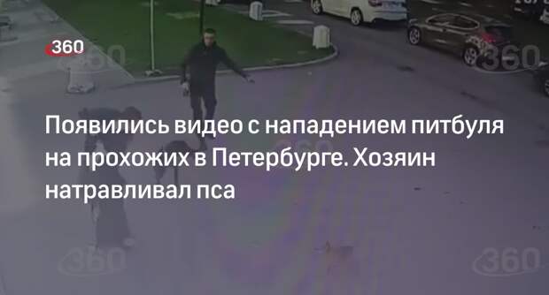 Видео 360.ru: петербуржец специально натравливал питбуля на прохожих